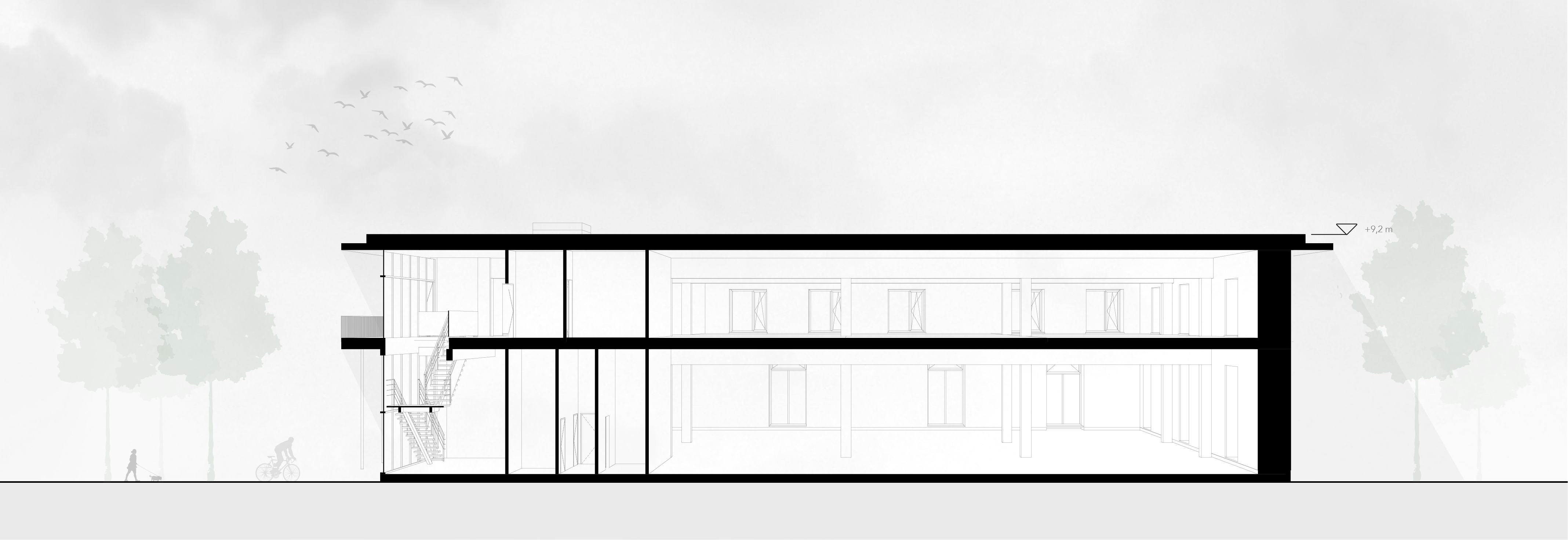 Export Weis hintergrund -03